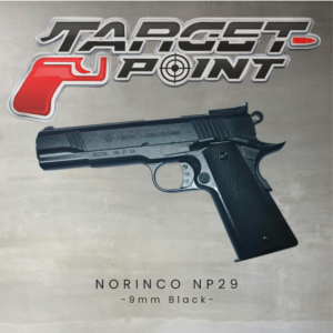 6 NORINCO NP29
